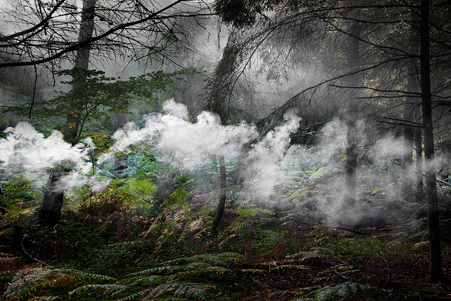 fotografia-surreal-bosques-ellie-davis (9)