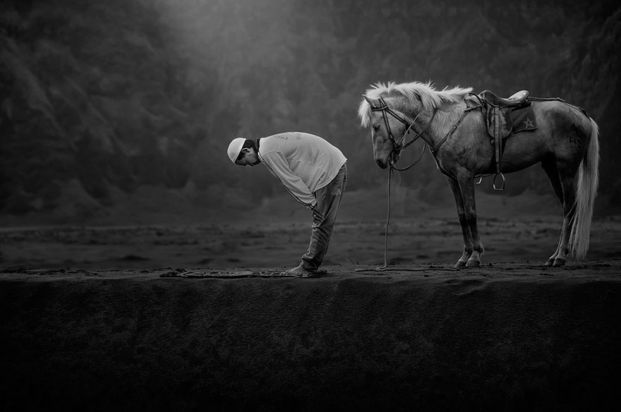 fotos-finalistas-premios-sony-fotografia-2015 (19)