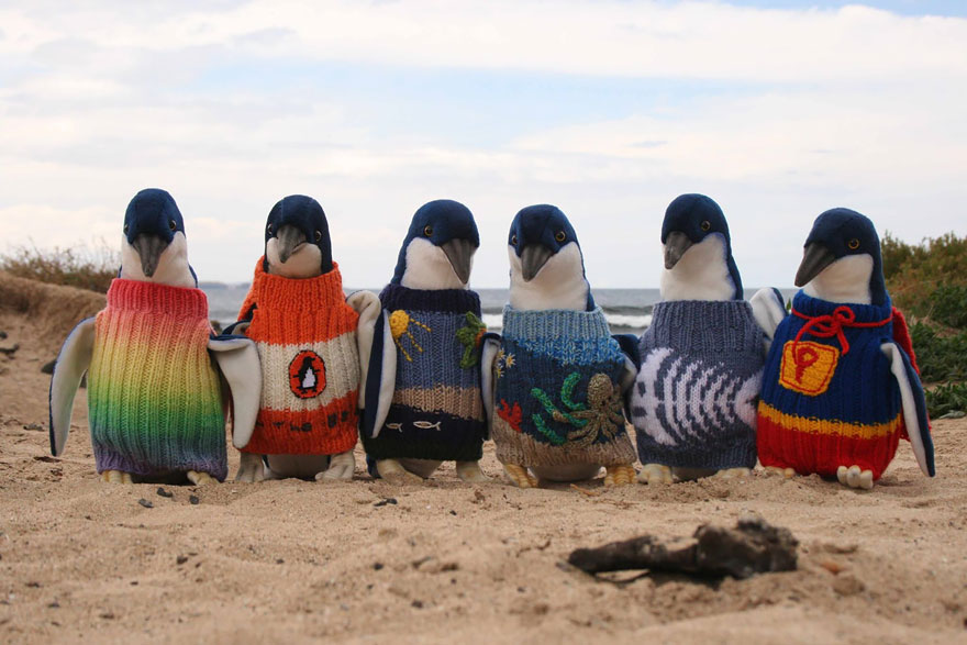 jerseis-pinguinos-alfred-date-australia (1)