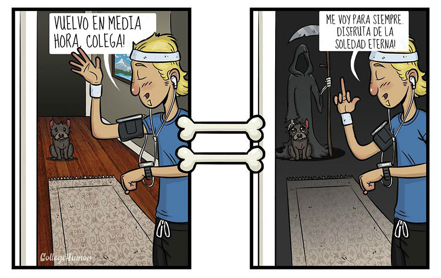 mundo-segun-perros-robert-brown (1)