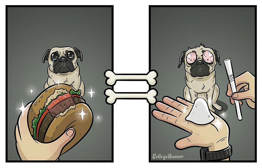 mundo-segun-perros-robert-brown (2)