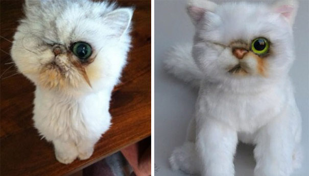 replicas-peluche-animales-mascotas-cuddle-clones (23)