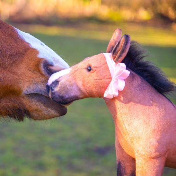 replicas-peluche-animales-mascotas-cuddle-clones (6)