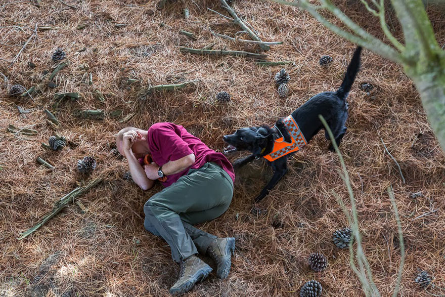 retratos-perros-trabajadores-andrew-fladeboe (9)