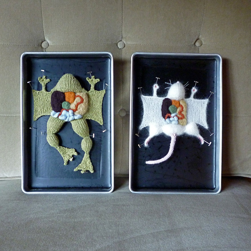 anatomia-animales-diseccionados-punto-emily-stoneking (1)