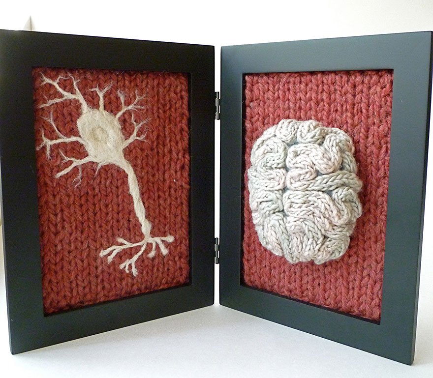 anatomia-animales-diseccionados-punto-emily-stoneking (10)