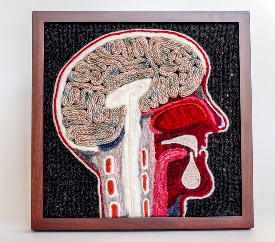 anatomia-animales-diseccionados-punto-emily-stoneking (11)