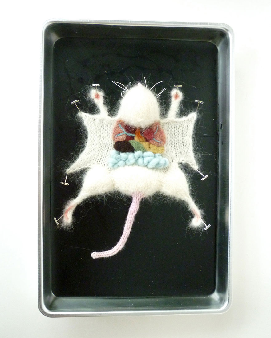 anatomia-animales-diseccionados-punto-emily-stoneking (7)
