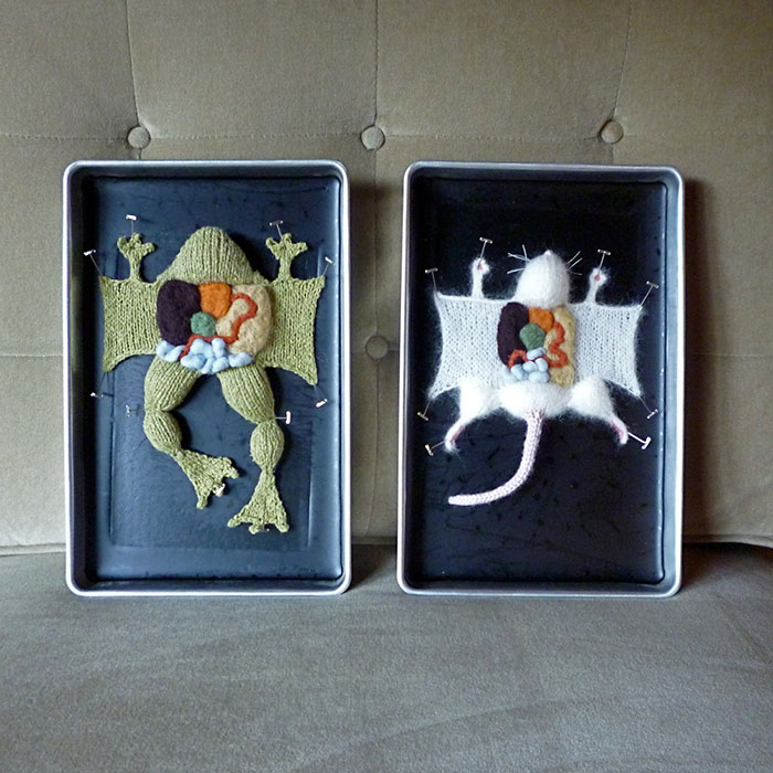 Aprende anatomía con las criaturas de punto diseccionadas de Emily Stoneking