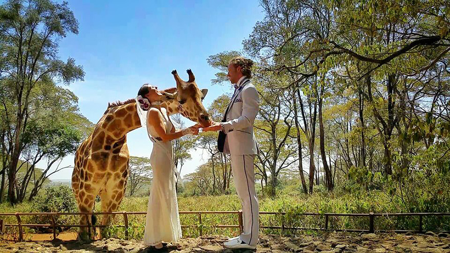 boda-multiple-viaje-mundo-cheetah-rhian (7)