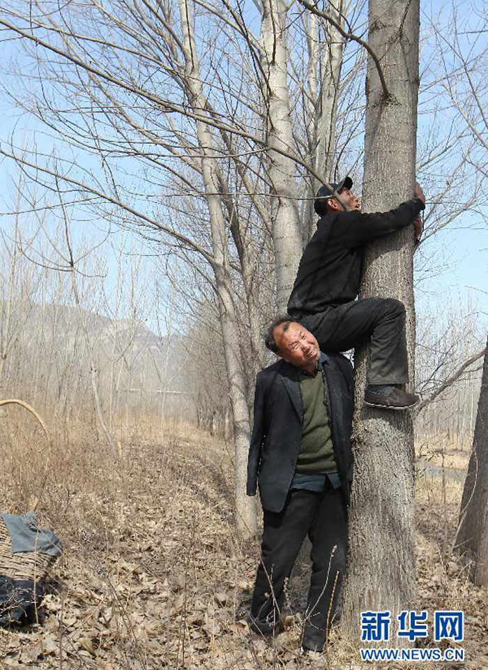 ciego-amputado-replantar-arboles-china (3)