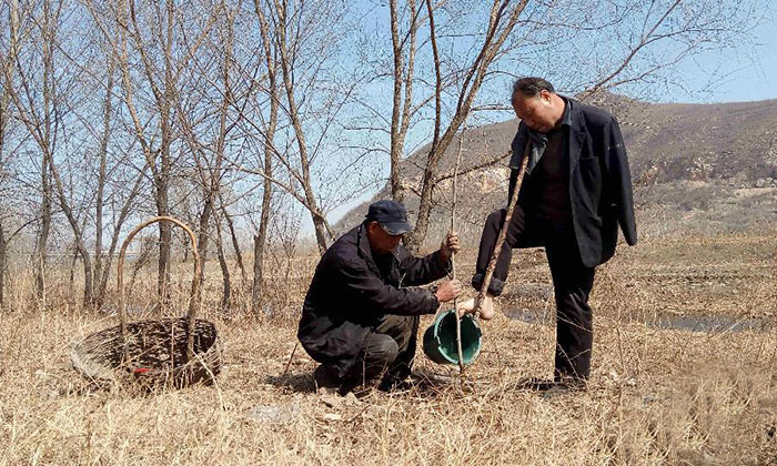 ciego-amputado-replantar-arboles-china (5)