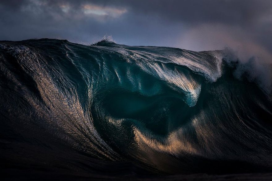 fotos-finalistas-concurso-12-smithsonian (1)