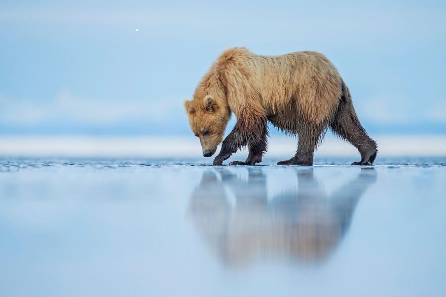 fotos-finalistas-concurso-12-smithsonian (18)