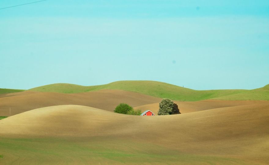 fotos-finalistas-concurso-12-smithsonian (21)