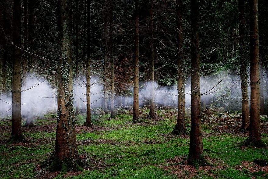 fotos-finalistas-concurso-12-smithsonian (22)