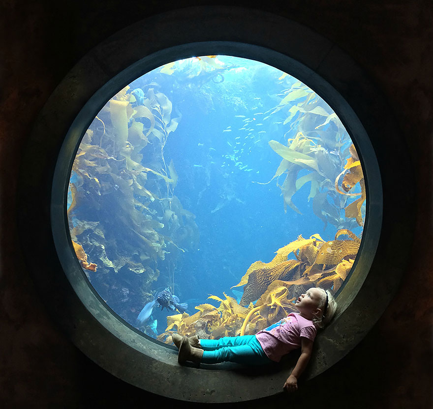 fotos-finalistas-concurso-12-smithsonian (25)