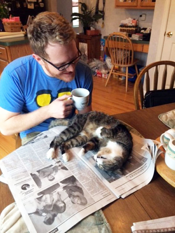 gatos-contra-lectura (22)