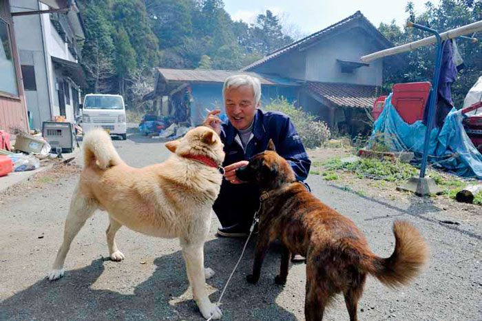 Este hombre volvió a Fukushima para alimentar a los animales que quedaron allí abandonados