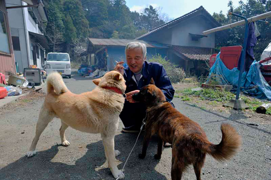 guardian-fukushima-abandoned-animals-naoto-matsumura (12)