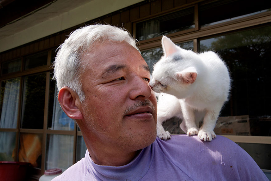 guardian-fukushima-abandoned-animals-naoto-matsumura (14)