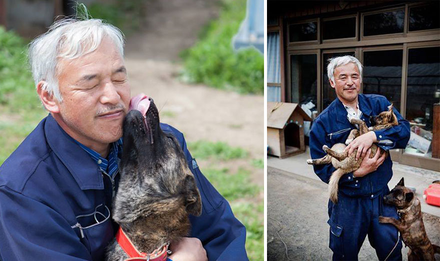 guardian-fukushima-abandoned-animals-naoto-matsumura (16)