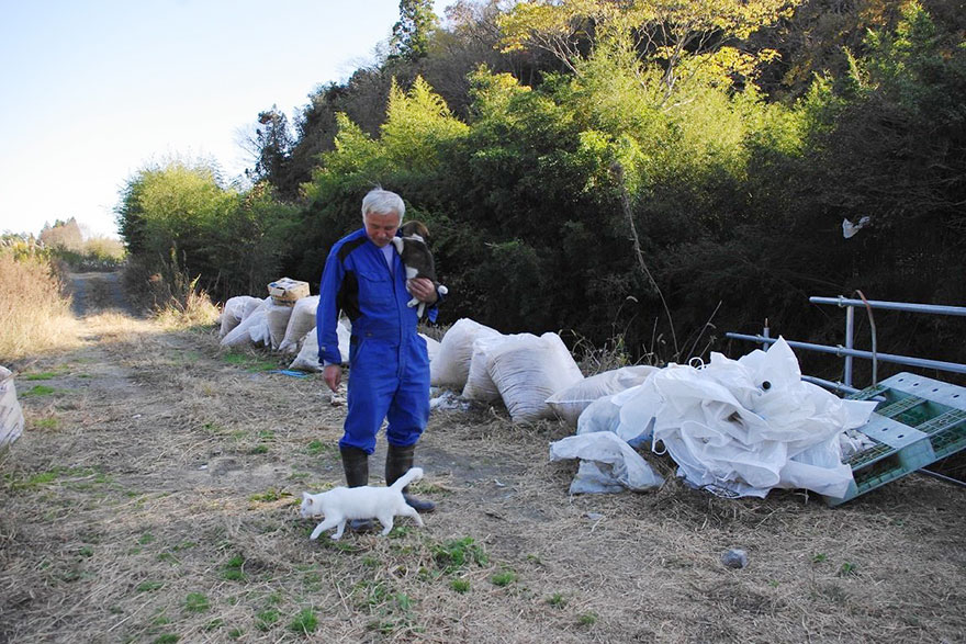 guardian-fukushima-abandoned-animals-naoto-matsumura (3)