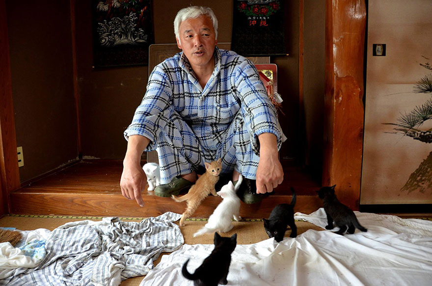 guardian-fukushima-abandoned-animals-naoto-matsumura (4)