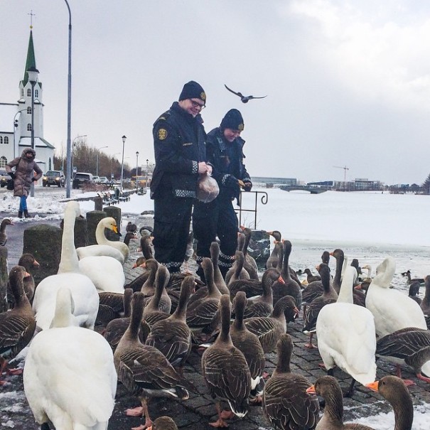 instagram-policia-reykjavik-logreglan-islandia (3)