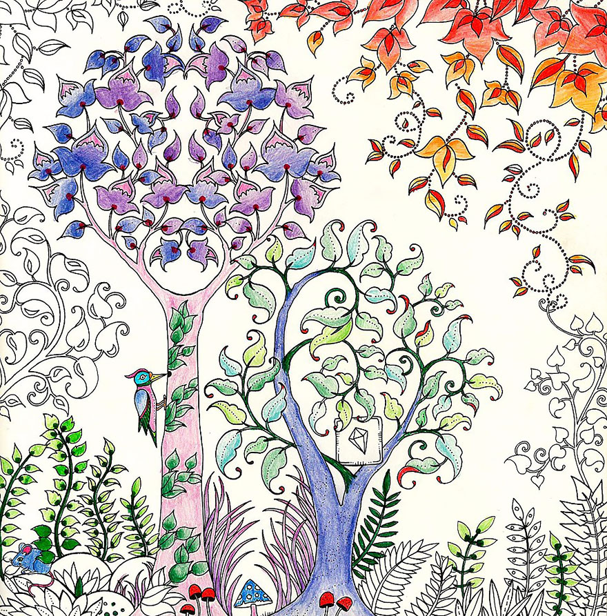 libro-colorear-adultos-johanna-basford (10)