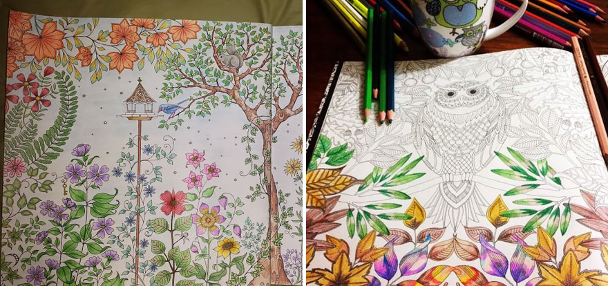 libro-colorear-adultos-johanna-basford (12)