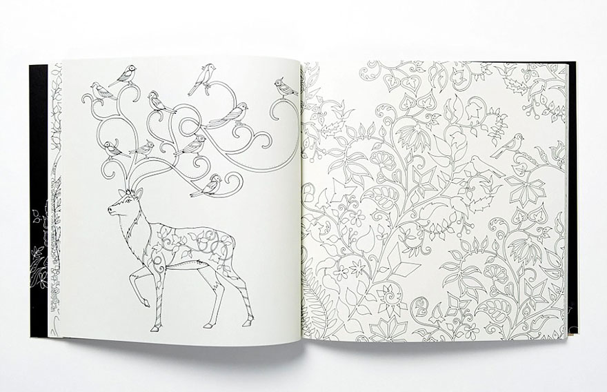 libro-colorear-adultos-johanna-basford (2)