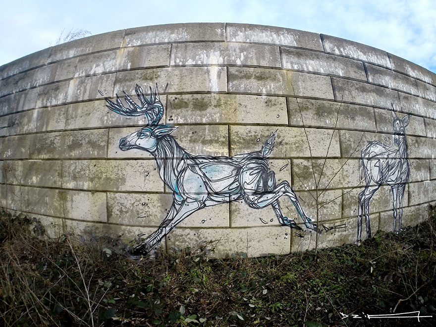 murales-callejeros-animales-lineas-geometricas-dzia (3)