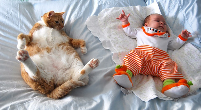25 Fotos adorables demostrando que los niños necesitan un gato
