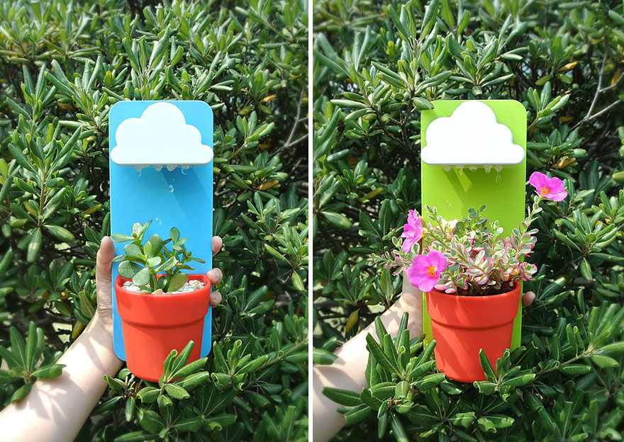 nube-lluvia-maceta-plantas-rainy-pot-jeong-seungbin (3)