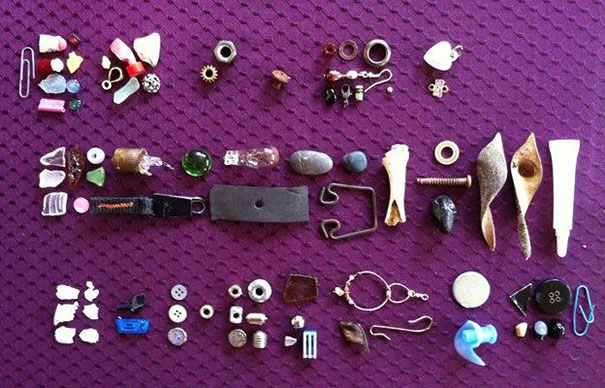 regalos-por-alimento-cuervos-gabi-mann (1)