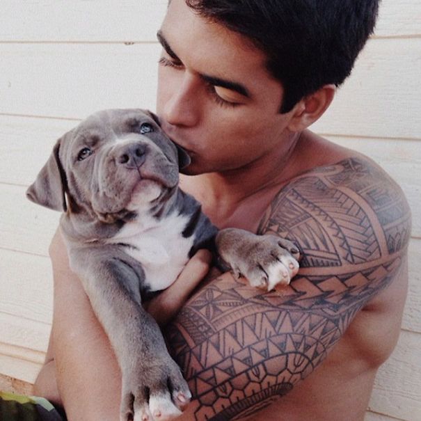 tios-buenos-perros-instagram (7)