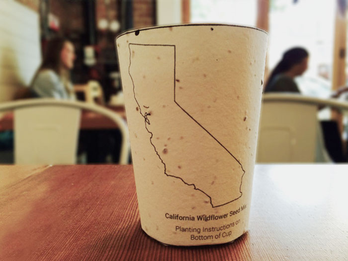 Estos vasos de café biodegradables tienen semillas dentro para plantarlos tras ser usados