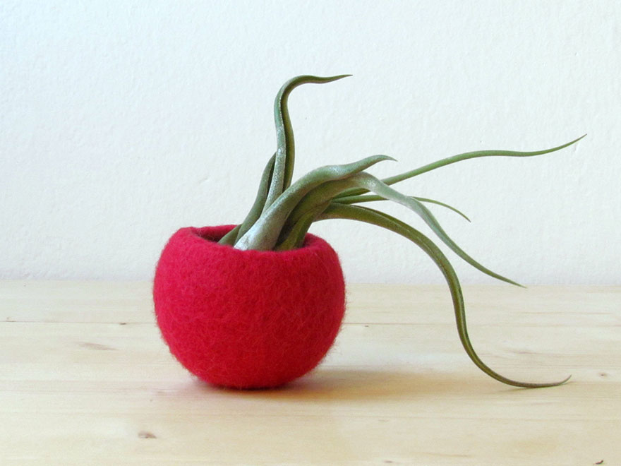 adorables-macetas-fieltro-animal-planter-stella-melgrati (2)