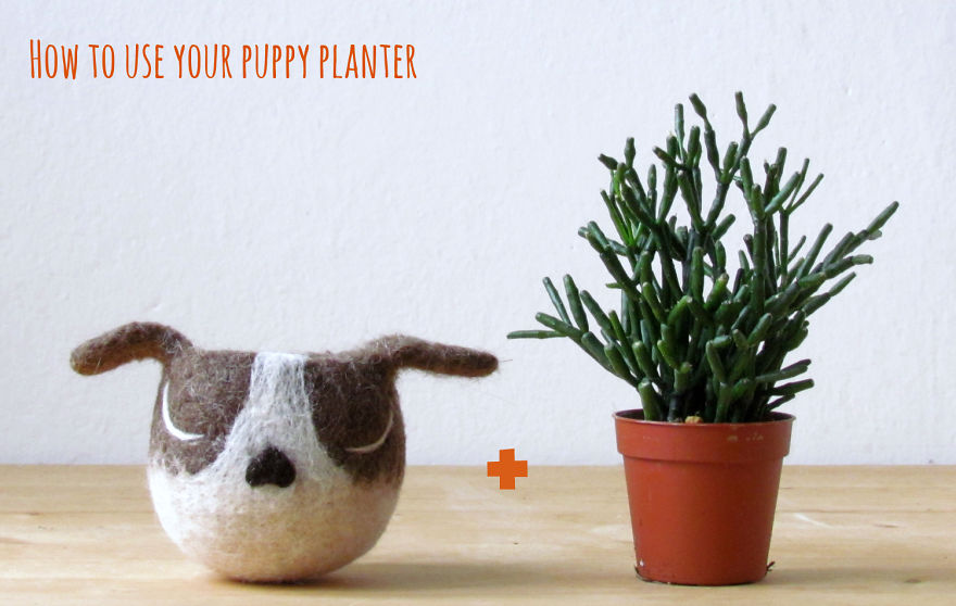adorables-macetas-fieltro-animal-planter-stella-melgrati (9)
