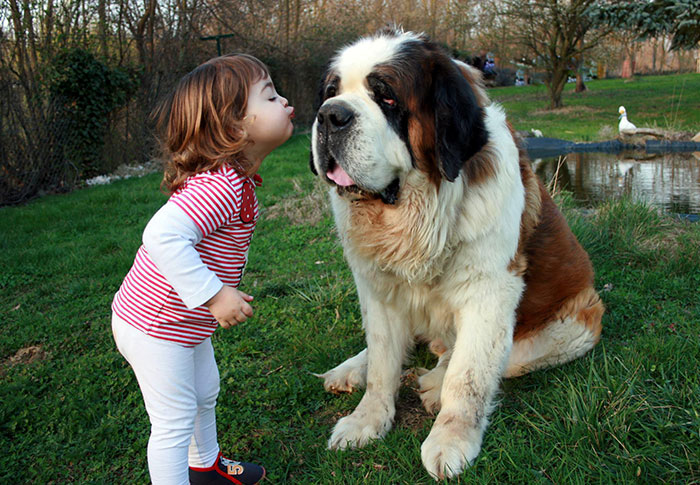 amistad-ninos-perros-23 (3)
