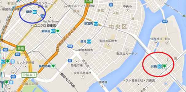 anciano-paseando-tortuga-sulcata-tokio-japon (5)