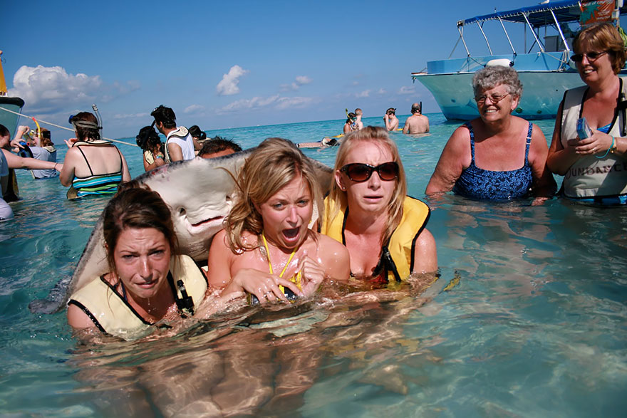 animales-photobomb-divertido (3)
