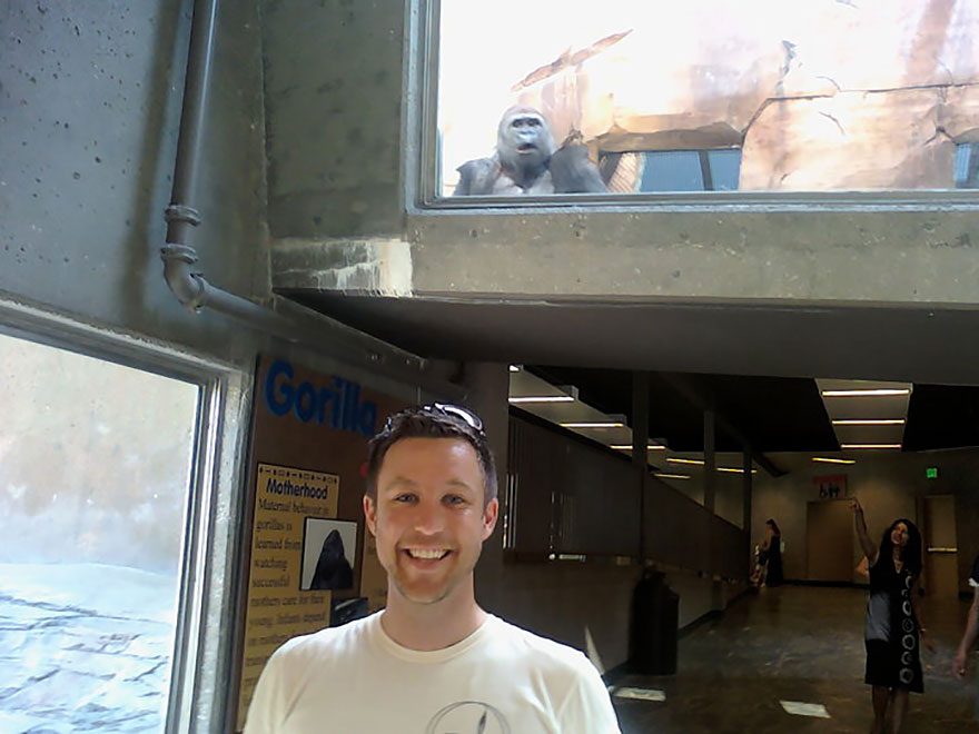animales-photobomb-divertido (30)