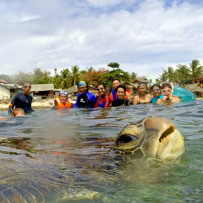 20 Animales muy divertidos haciendo photobomb