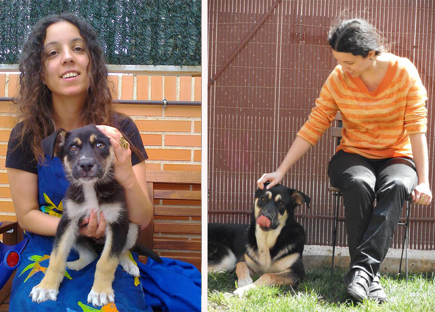 antes-despues-perros-creciendo-(21)