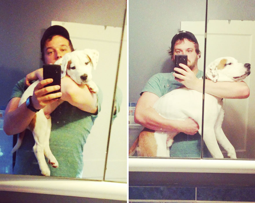 antes-despues-perros-creciendo (24)