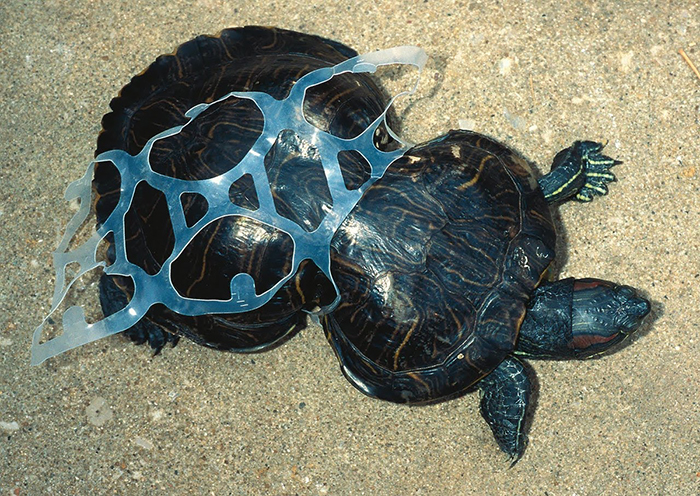 22 Fotos desgarradoras de la contaminación de nuestro planeta para animarte a reciclar