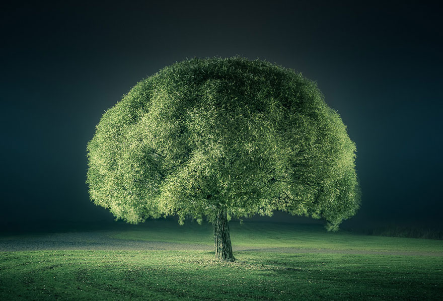 fotografia-nocturna-autodidacta-mikko-lagerstedt (14)