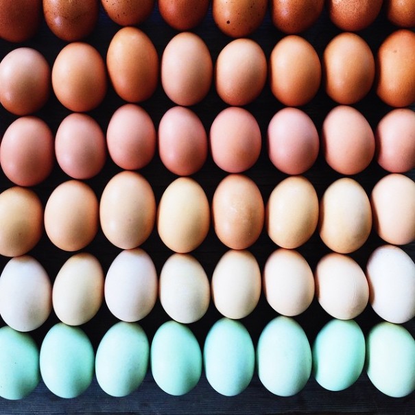 fotos-comida-ordenada-colores-foodgradients-brittany-wright (3)